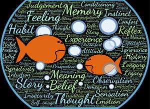 九游登录中心-校园体育活动参与度与学生学业表现关联,学生参与学校体育的价值