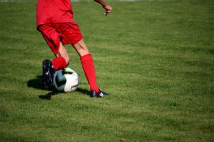 九游游戏中心官网-篮球运动员心理健康维护体系建设,篮球运动员心理素质的重要性