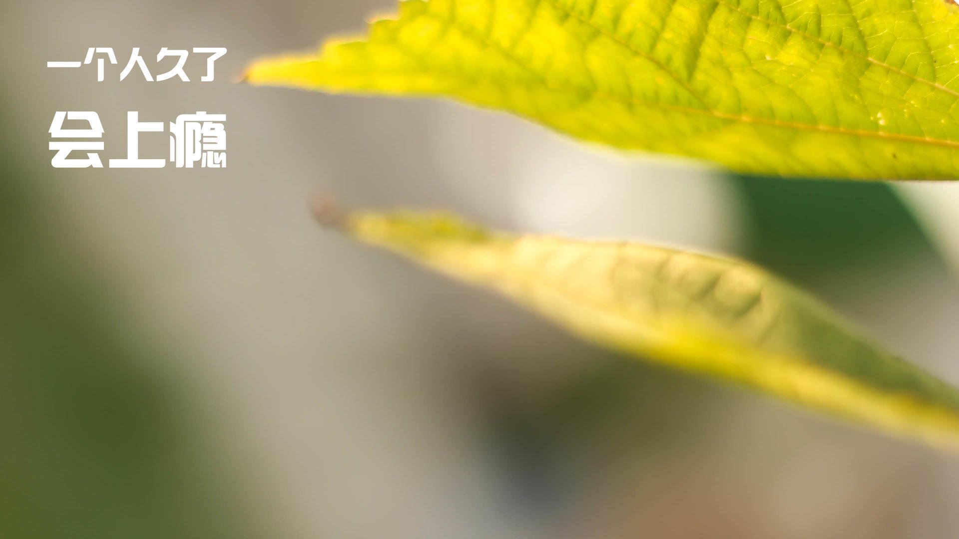 九游网页版官网入口-西甲俱乐部区域合作打造球迷生态圈案例,西甲俱乐部名称