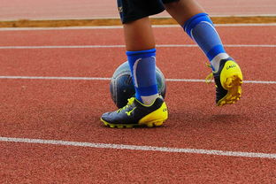 九游网页版官网-足球产业链：从青训到转播的全产业生态，足球产业主要经营内容