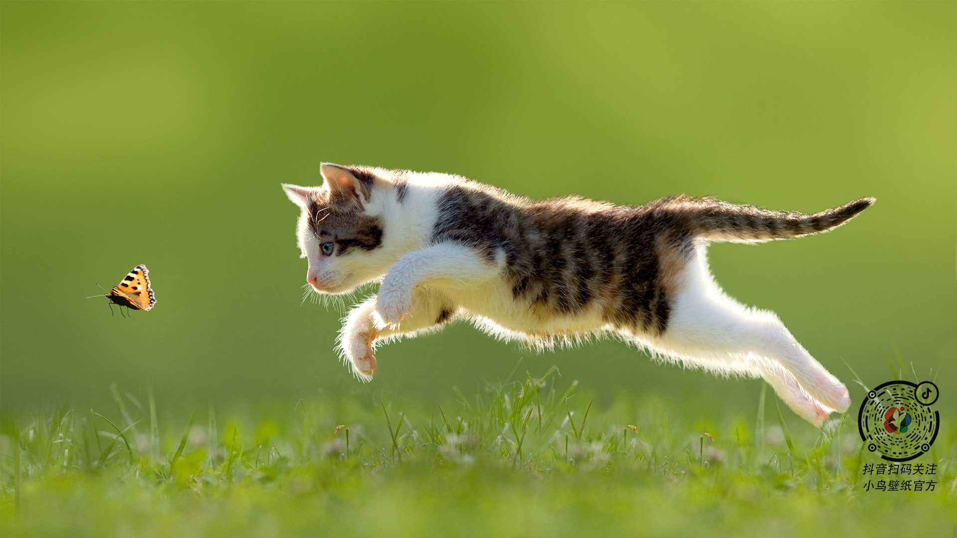 -FIBA排名约133位,全球竞争力尚弱,fiba球队排名