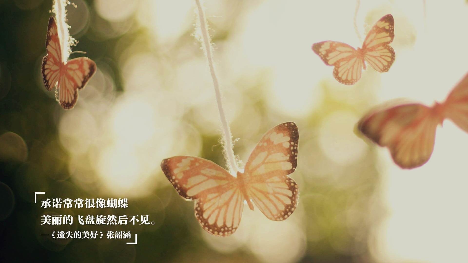 九游官网下载电脑版-澳女将蛙泳段表现惊艳 中国紧追不舍,里约奥运会女子蛙泳冠军