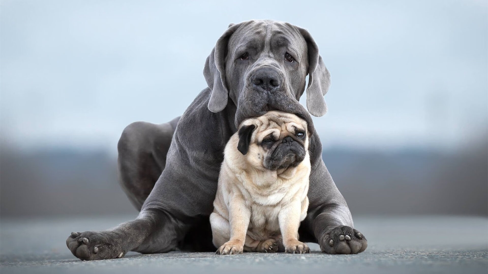 九游登录中心-德甲攻防鏖战：攻不破的后防线瞬间崩溃，德甲打法特点