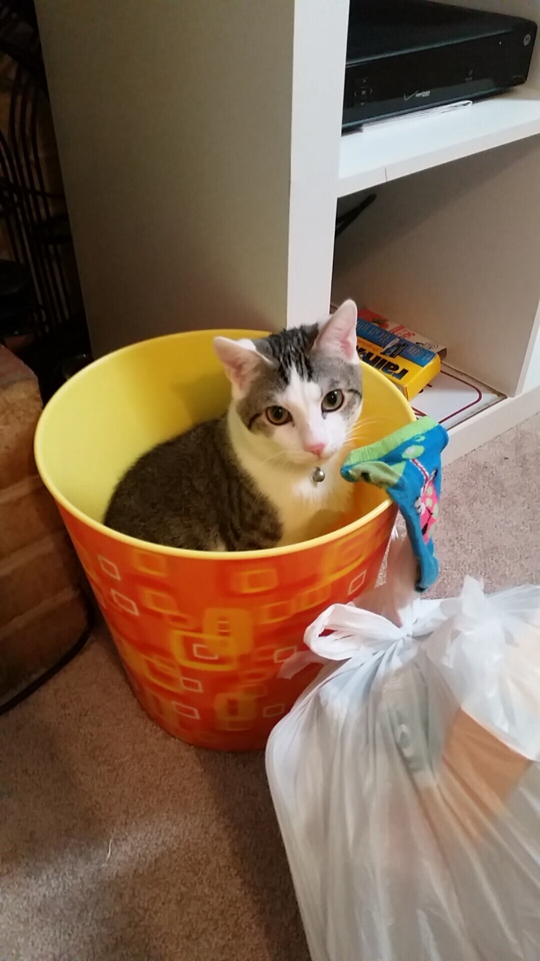 谢佩玲决赛发挥超出预期，谢佩璇图片