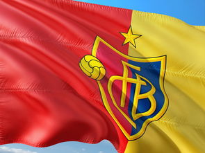 九游正版入口-1亿转会费新援欧冠亮相,尤文多特背后故事曝光,尤文转会投入