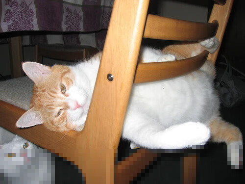 -22分表现亮眼,广东2米05锋线完成升级成杜锋利器,广东2米22大中锋