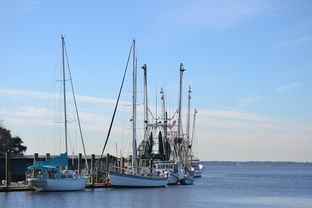 九游(jiuyou)官方网站-台风助力惠州海鲜增多，赶海活动热度攀升，惠州的台风要什么时候来什么时候走